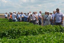 Field Day in Kursk Oblast